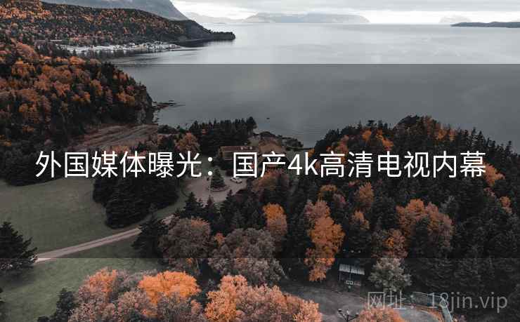 外国媒体曝光：国产4k高清电视内幕