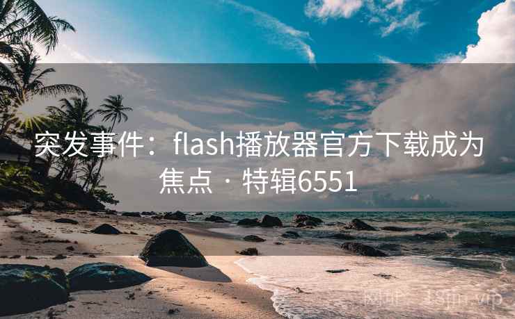 突发事件：flash播放器官方下载成为焦点 · 特辑6551