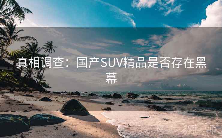 真相调查：国产SUV精品是否存在黑幕