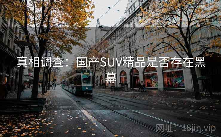 真相调查：国产SUV精品是否存在黑幕